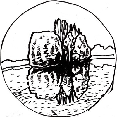 Ostrov v rybníce Vrah (Ilustrace Hana Mislerová)